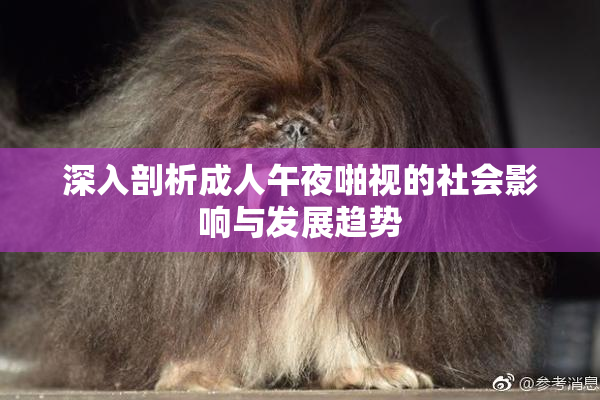 深入剖析成人午夜啪视的社会影响与发展趋势