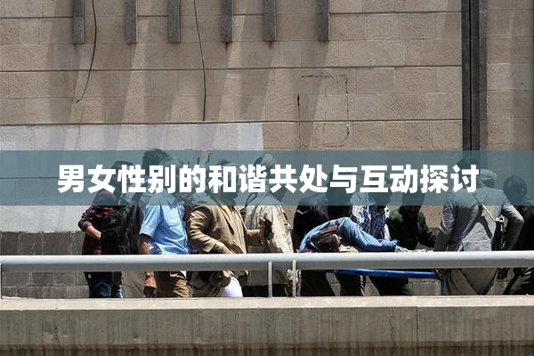 男女性别的和谐共处与互动探讨