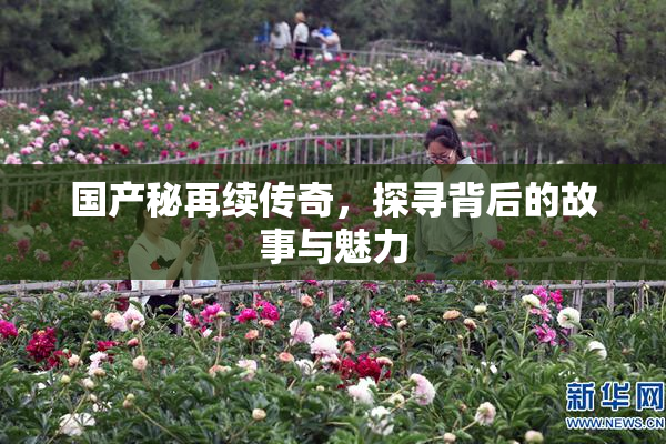 国产秘再续传奇，探寻背后的故事与魅力
