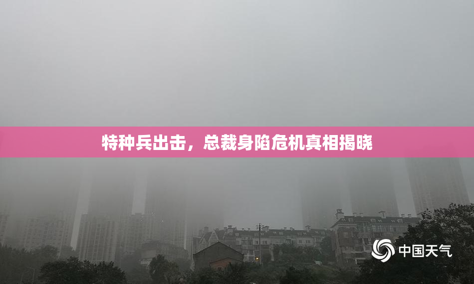 特种兵出击，总裁身陷危机真相揭晓