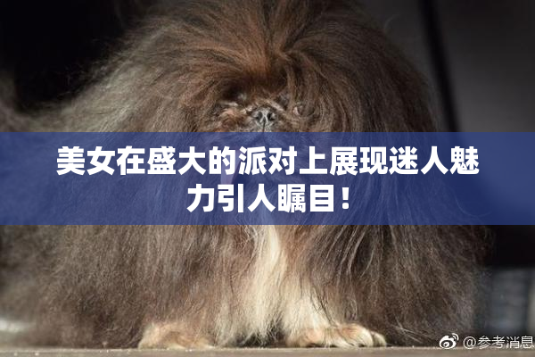 美女在盛大的派对上展现迷人魅力引人瞩目！