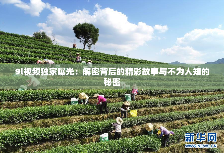 9l视频独家曝光：解密背后的精彩故事与不为人知的秘密