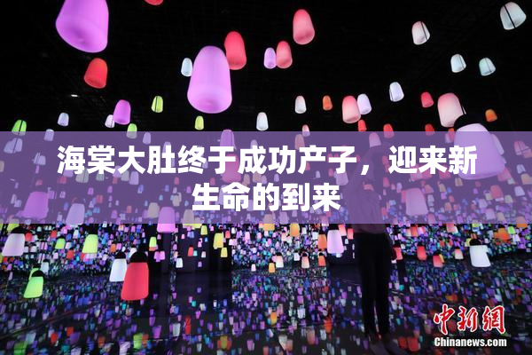 海棠大肚终于成功产子，迎来新生命的到来