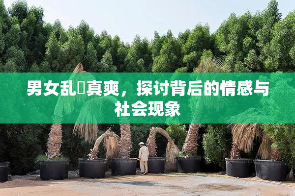 男女乱婬真爽，探讨背后的情感与社会现象