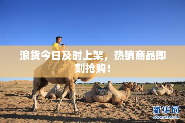 浪货今日及时上架，热销商品即刻抢购！