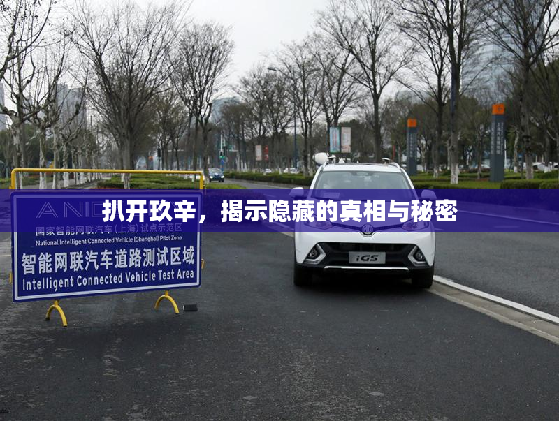 扒开玖辛，揭示隐藏的真相与秘密
