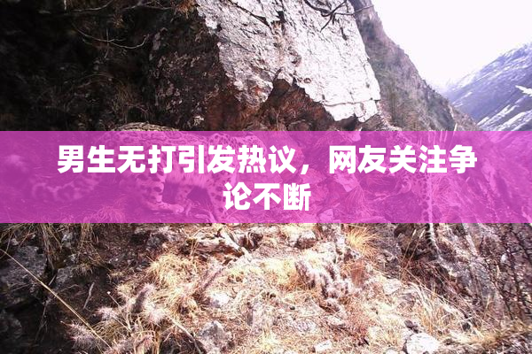 男生无打引发热议，网友关注争论不断
