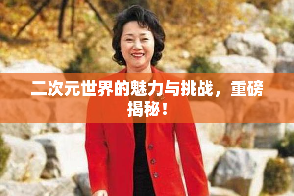 二次元世界的魅力与挑战，重磅揭秘！
