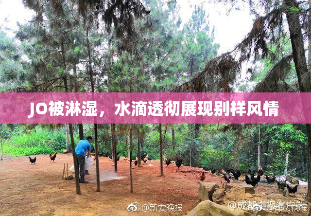 JO被淋湿，水滴透彻展现别样风情
