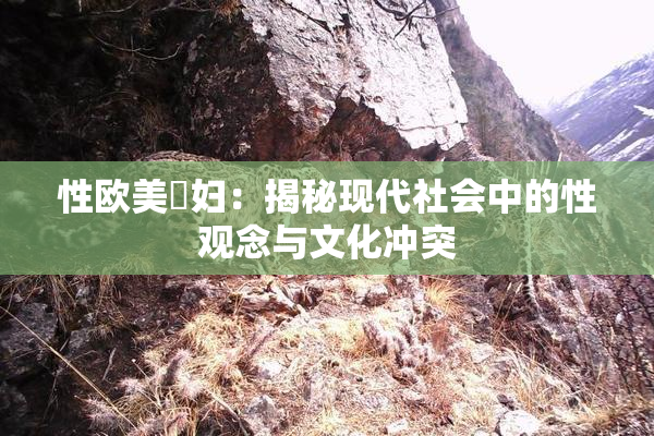 性欧美婬妇：揭秘现代社会中的性观念与文化冲突