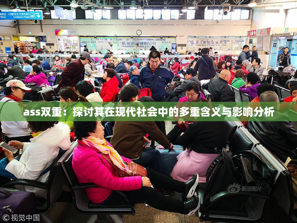 ass双重：探讨其在现代社会中的多重含义与影响分析