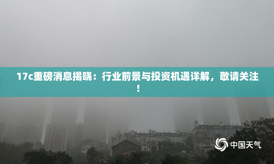 17c重磅消息揭晓：行业前景与投资机遇详解，敬请关注！