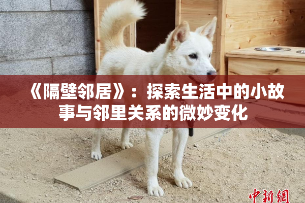 《隔壁邻居》：探索生活中的小故事与邻里关系的微妙变化