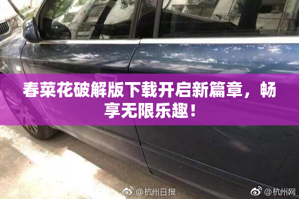 春菜花破解版下载开启新篇章，畅享无限乐趣！