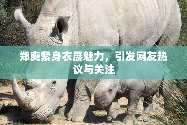 郑爽紧身衣展魅力，引发网友热议与关注