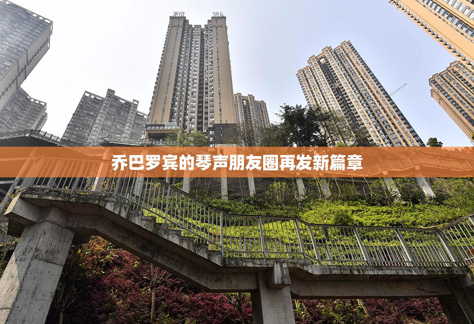 乔巴罗宾的琴声朋友圈再发新篇章