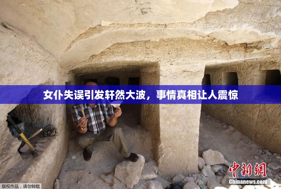 女仆失误引发轩然大波，事情真相让人震惊