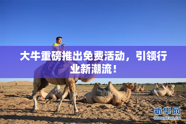 大牛重磅推出免费活动，引领行业新潮流！