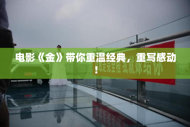电影《金》带你重温经典，重写感动！