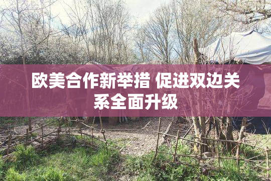 欧美合作新举措 促进双边关系全面升级