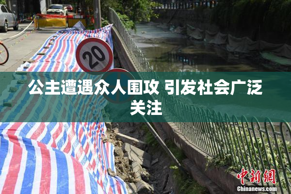 公主遭遇众人围攻 引发社会广泛关注