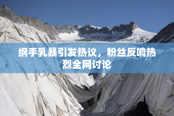 纲手乳暴引发热议，粉丝反响热烈全网讨论