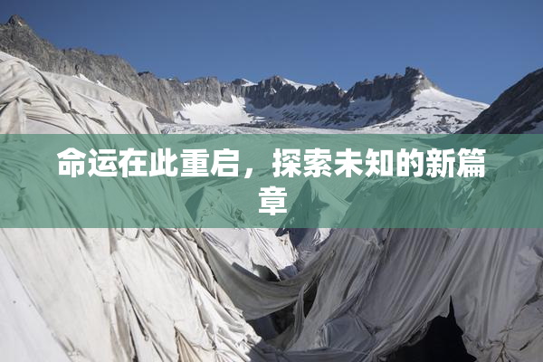命运在此重启，探索未知的新篇章