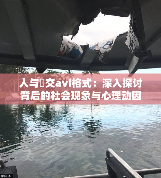 人与嘼交avi格式：深入探讨背后的社会现象与心理动因