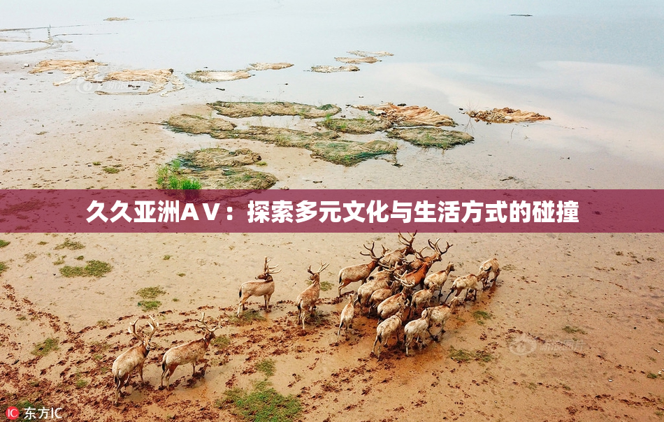久久亚洲AⅤ：探索多元文化与生活方式的碰撞
