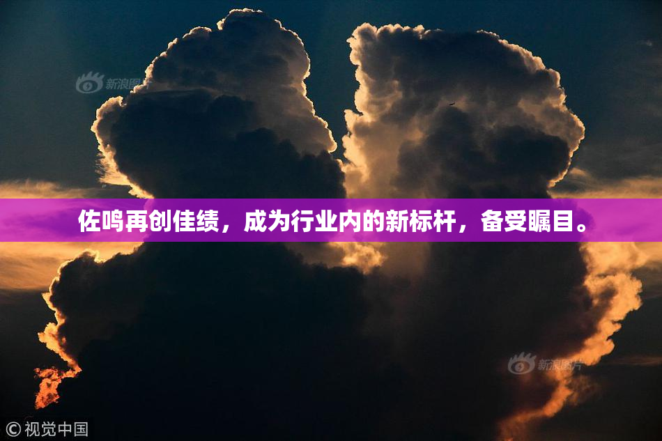 佐鸣再创佳绩，成为行业内的新标杆，备受瞩目。