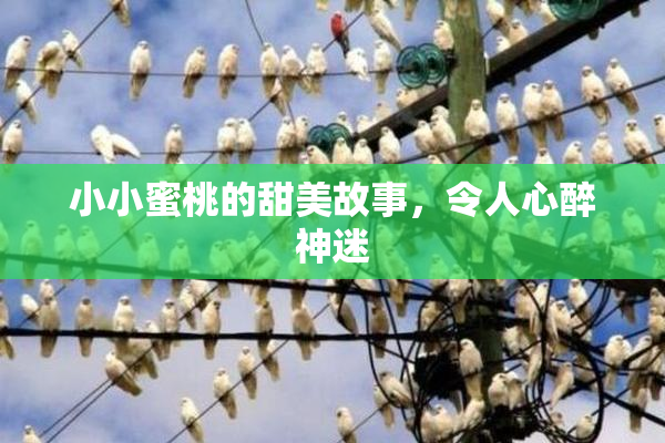 小小蜜桃的甜美故事，令人心醉神迷