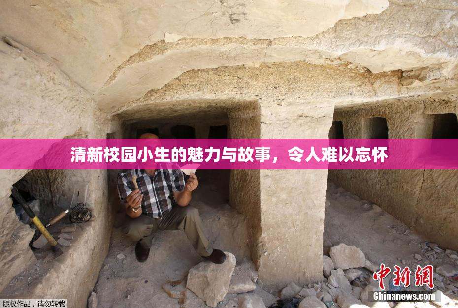 清新校园小生的魅力与故事，令人难以忘怀
