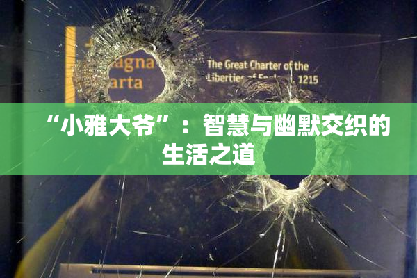 “小雅大爷”：智慧与幽默交织的生活之道