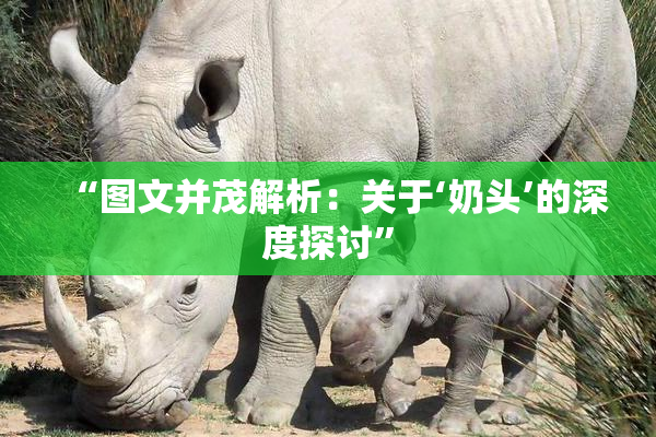 “图文并茂解析：关于‘奶头’的深度探讨”
