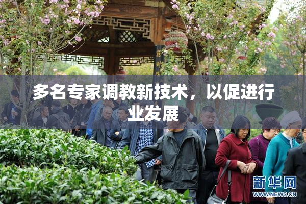 多名专家调教新技术，以促进行业发展