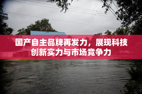 国产自主品牌再发力，展现科技创新实力与市场竞争力