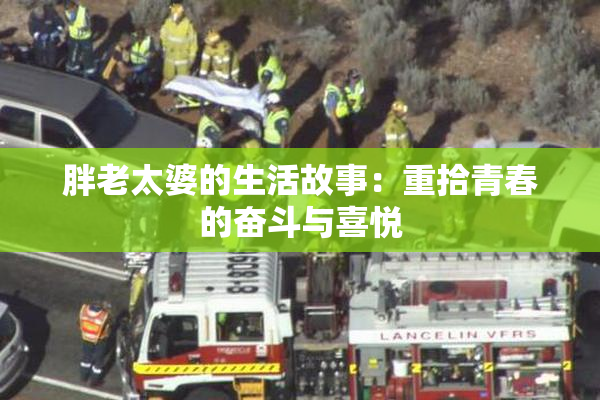 胖老太婆的生活故事：重拾青春的奋斗与喜悦