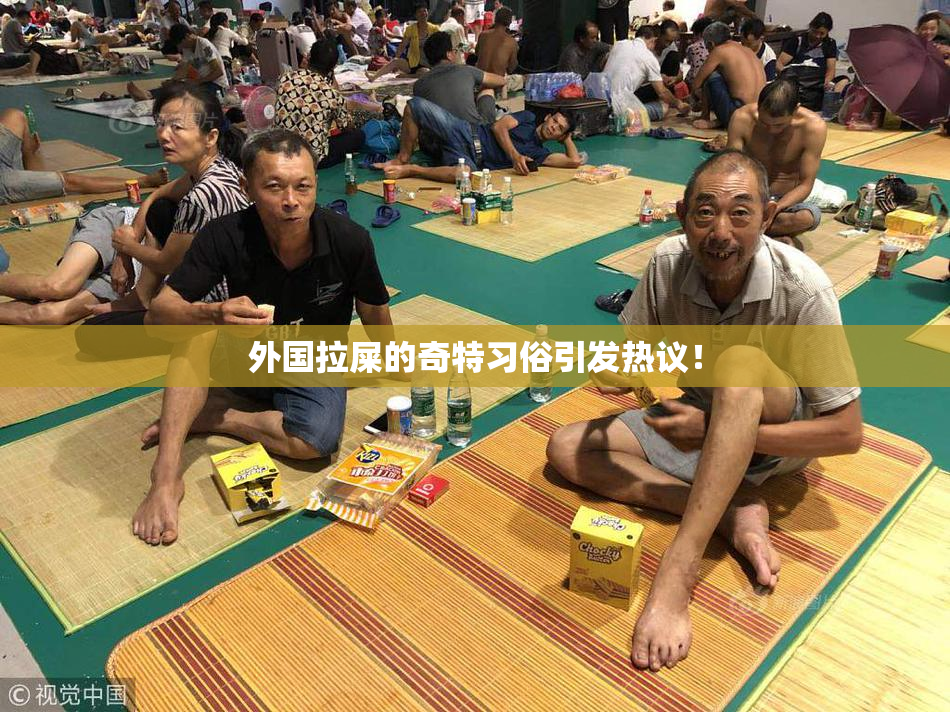 外国拉屎的奇特习俗引发热议！
