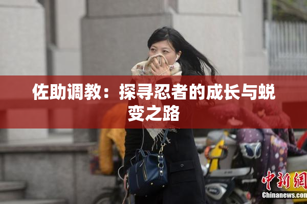 佐助调教：探寻忍者的成长与蜕变之路