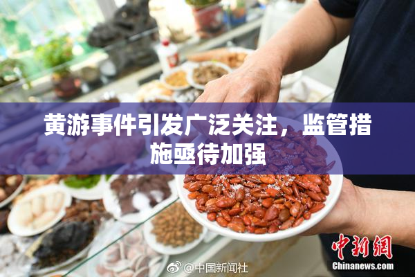 黄游事件引发广泛关注，监管措施亟待加强