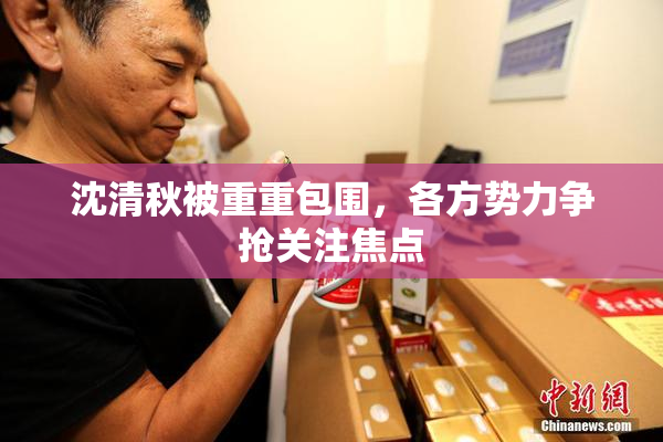 沈清秋被重重包围，各方势力争抢关注焦点