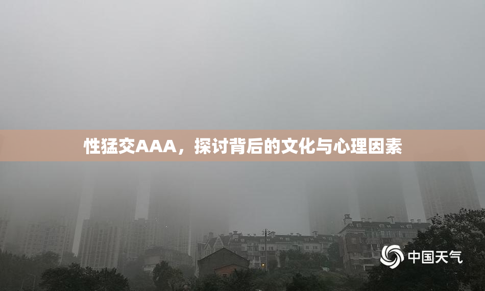 性猛交AAA，探讨背后的文化与心理因素