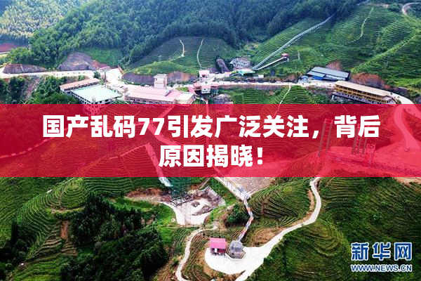 国产乱码77引发广泛关注，背后原因揭晓！