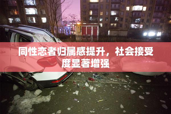 同性恋者归属感提升，社会接受度显著增强