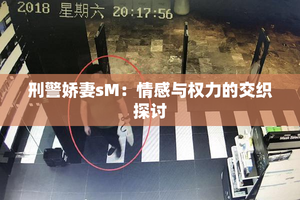 刑警娇妻sM：情感与权力的交织探讨