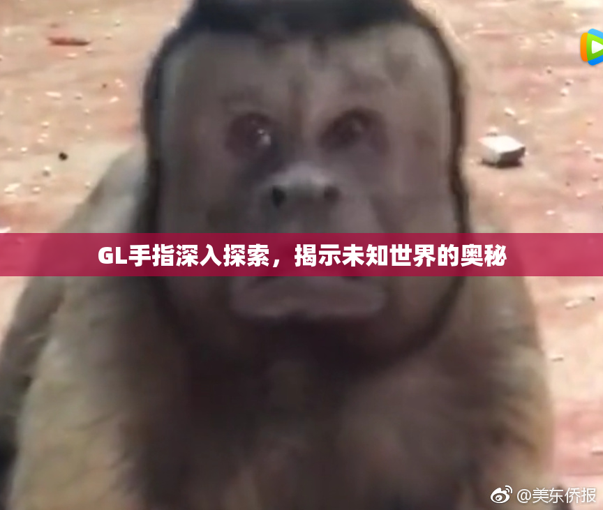 GL手指深入探索，揭示未知世界的奥秘