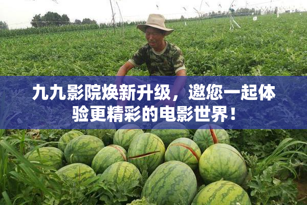 九九影院焕新升级，邀您一起体验更精彩的电影世界！