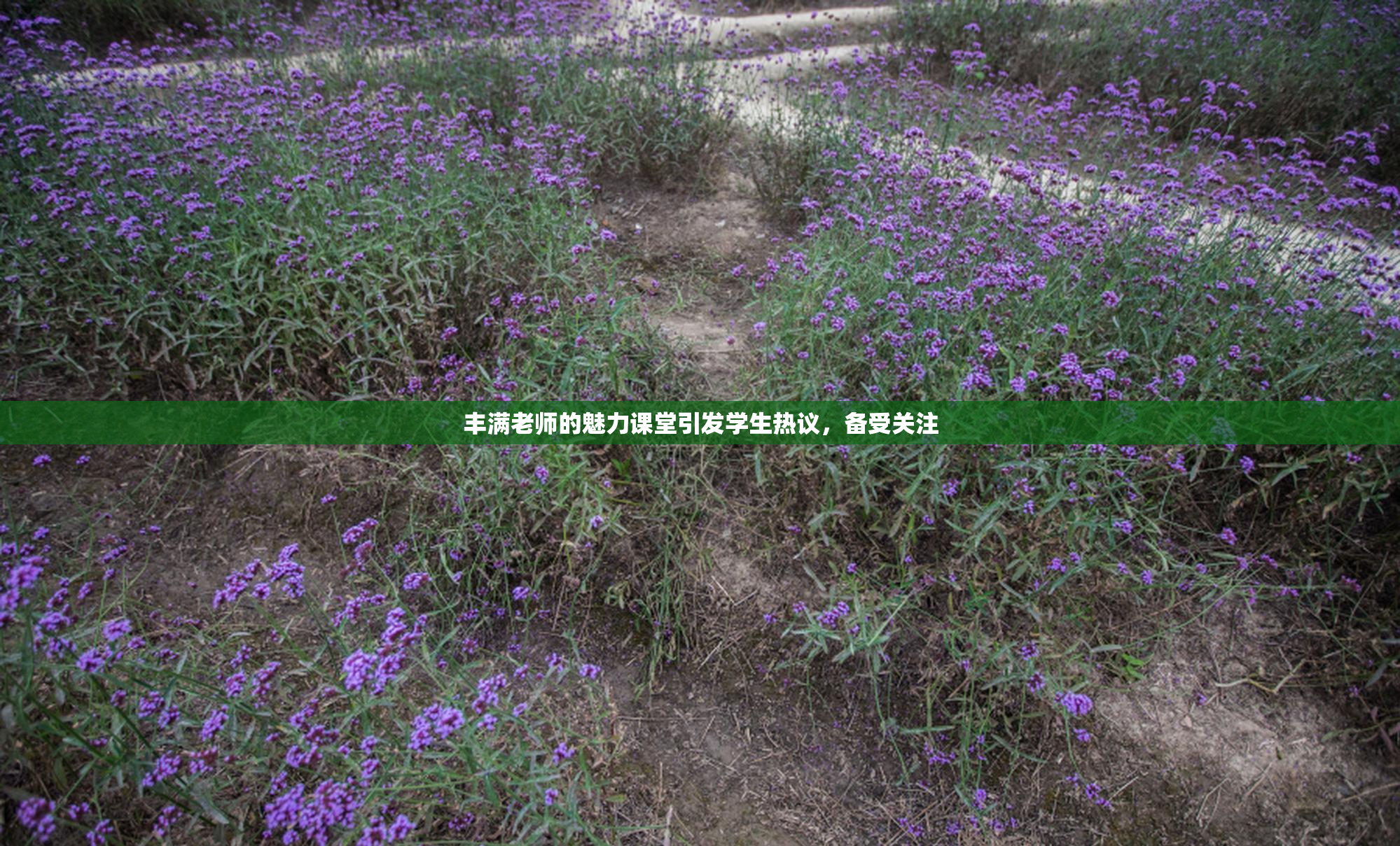 丰满老师的魅力课堂引发学生热议，备受关注