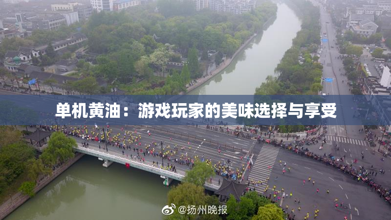 单机黄油：游戏玩家的美味选择与享受