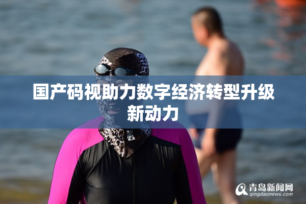 国产码视助力数字经济转型升级新动力